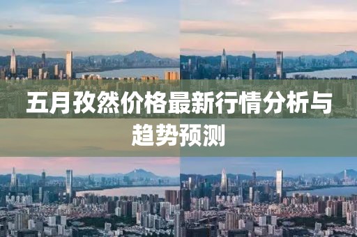 五月孜然价格最新行情分析与趋势预测