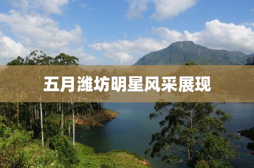 五月潍坊明星风采展现