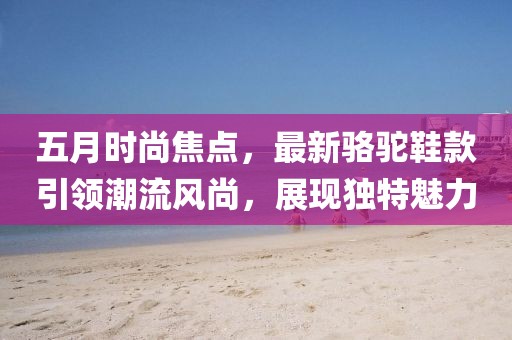 五月时尚焦点，最新骆驼鞋款引领潮流风尚，展现独特魅力