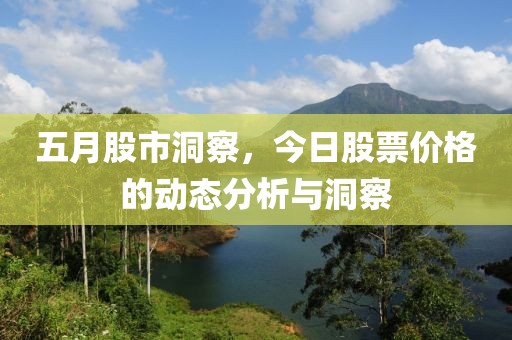 五月股市洞察，今日股票价格的动态分析与洞察