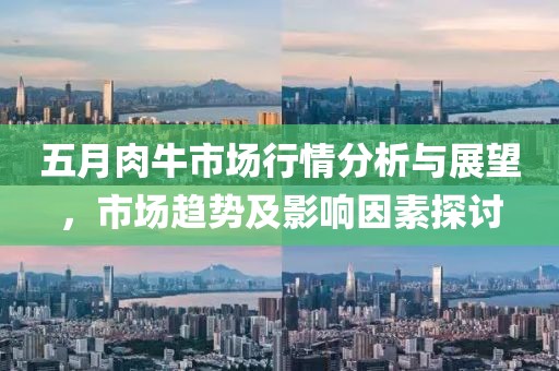 五月肉牛市场行情分析与展望，市场趋势及影响因素探讨