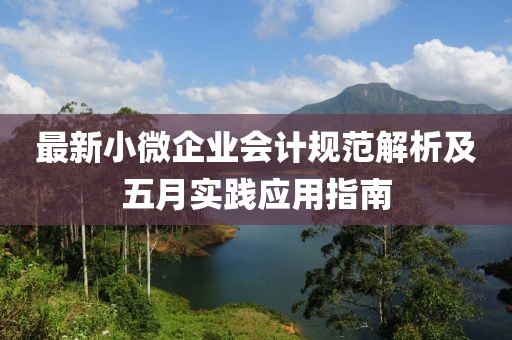 最新小微企业会计规范解析及五月实践应用指南