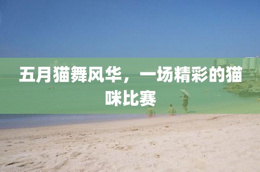 五月猫舞风华，一场精彩的猫咪比赛