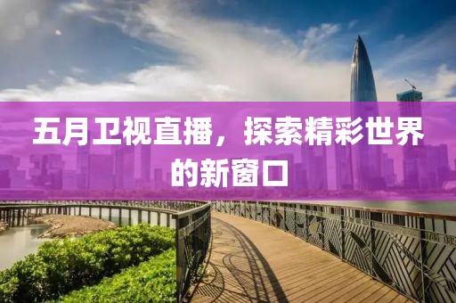 五月卫视直播，探索精彩世界的新窗口