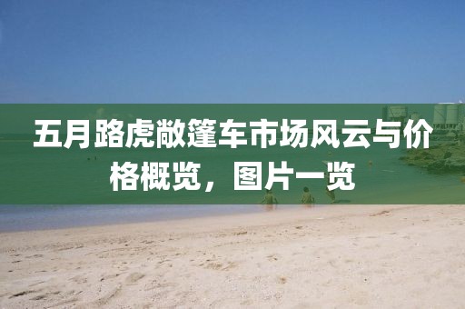五月路虎敞篷车市场风云与价格概览，图片一览