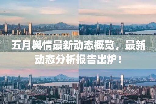 五月舆情最新动态概览，最新动态分析报告出炉！