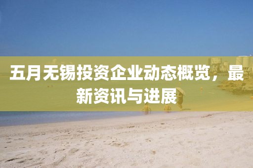 五月无锡投资企业动态概览，最新资讯与进展