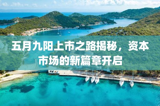 五月九阳上市之路揭秘，资本市场的新篇章开启
