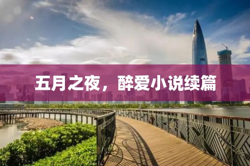五月之夜，醉爱小说续篇
