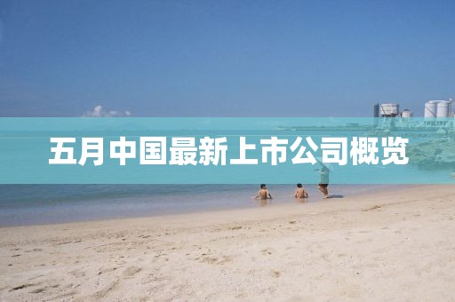 五月中国最新上市公司概览