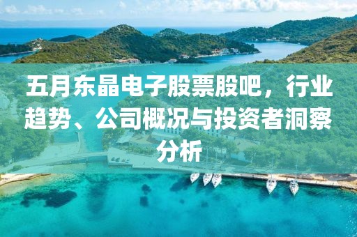 五月东晶电子股票股吧，行业趋势、公司概况与投资者洞察分析