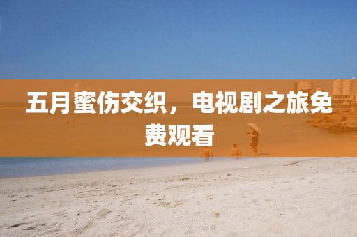 五月蜜伤交织，电视剧之旅免费观看
