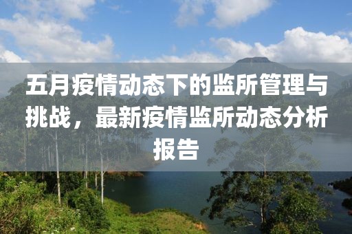 五月疫情动态下的监所管理与挑战，最新疫情监所动态分析报告