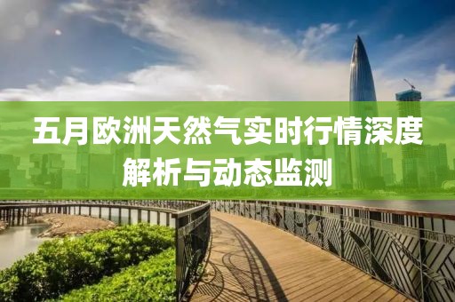 五月欧洲天然气实时行情深度解析与动态监测