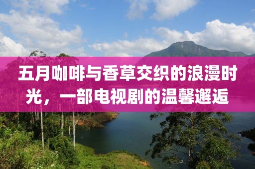 五月咖啡与香草交织的浪漫时光，一部电视剧的温馨邂逅