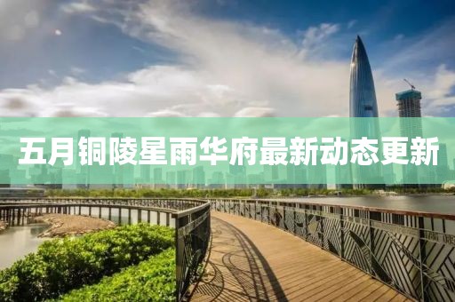 五月铜陵星雨华府最新动态更新