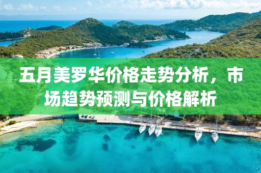 五月美罗华价格走势分析，市场趋势预测与价格解析