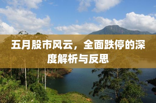 五月股市风云，全面跌停的深度解析与反思