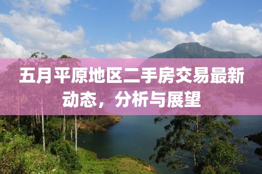 五月平原地区二手房交易最新动态，分析与展望