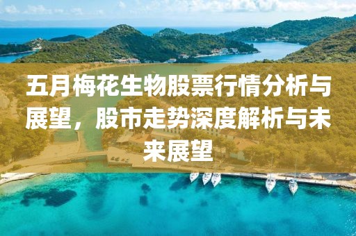 五月梅花生物股票行情分析与展望，股市走势深度解析与未来展望