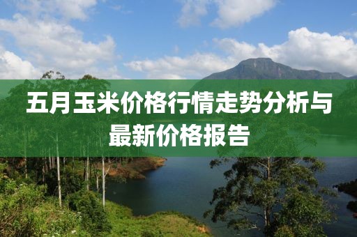 五月玉米价格行情走势分析与最新价格报告