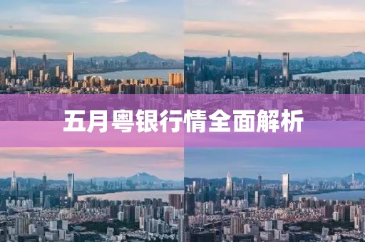 五月粤银行情全面解析