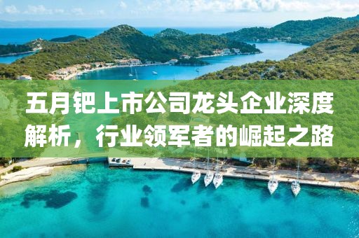 五月钯上市公司龙头企业深度解析，行业领军者的崛起之路