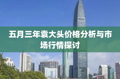 五月三年袁大头价格分析与市场行情探讨
