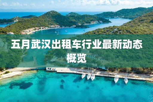 五月武汉出租车行业最新动态概览