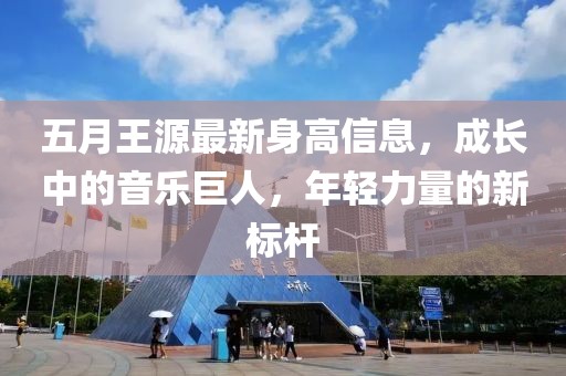 五月王源最新身高信息，成长中的音乐巨人，年轻力量的新标杆