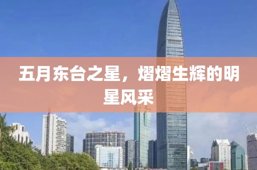 五月东台之星，熠熠生辉的明星风采