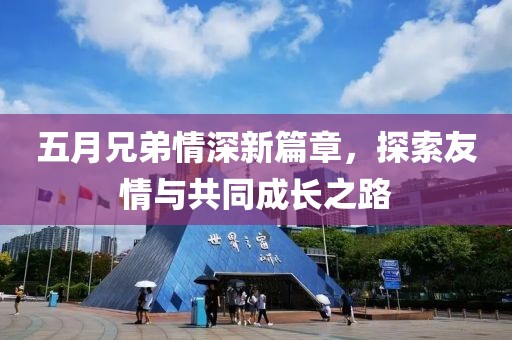 五月兄弟情深新篇章，探索友情与共同成长之路