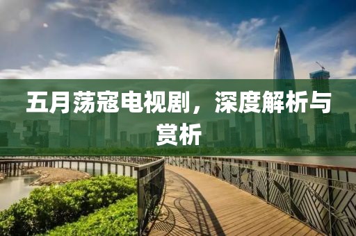 五月荡寇电视剧，深度解析与赏析