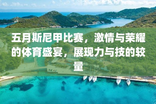 五月斯尼甲比赛，激情与荣耀的体育盛宴，展现力与技的较量