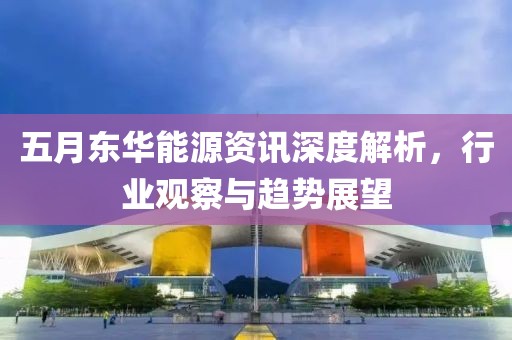 五月东华能源资讯深度解析，行业观察与趋势展望