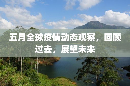 五月全球疫情动态观察，回顾过去，展望未来