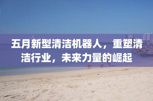 五月新型清洁机器人，重塑清洁行业，未来力量的崛起