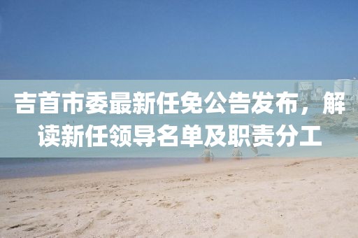 吉首市委最新任免公告发布，解读新任领导名单及职责分工