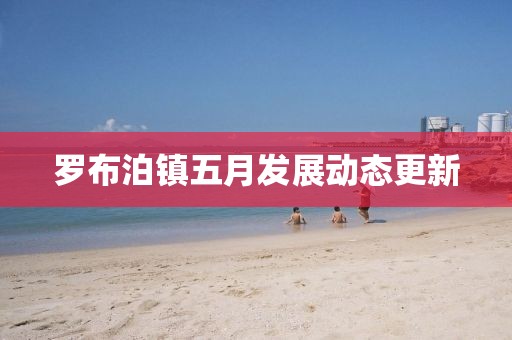 罗布泊镇五月发展动态更新