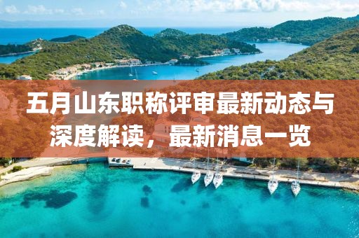 五月山东职称评审最新动态与深度解读，最新消息一览