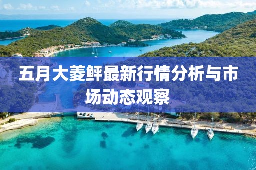五月大菱鲆最新行情分析与市场动态观察