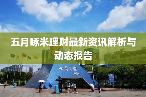 五月啄米理财最新资讯解析与动态报告