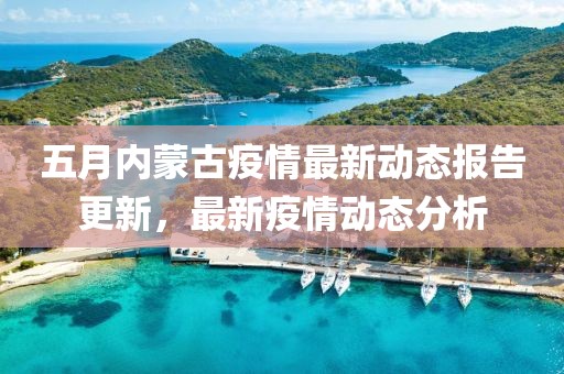 五月内蒙古疫情最新动态报告更新，最新疫情动态分析