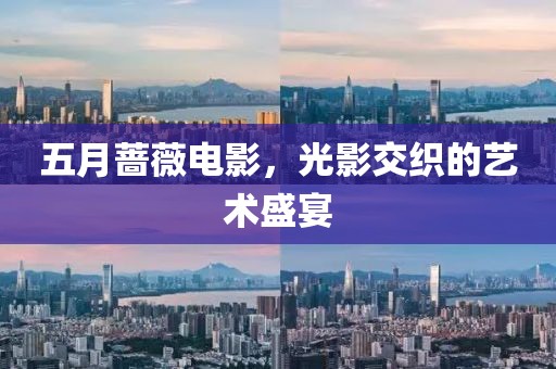 五月蔷薇电影，光影交织的艺术盛宴