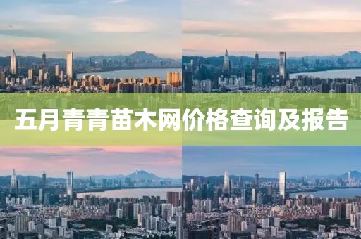 五月青青苗木网价格查询及报告