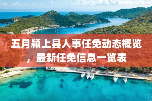 五月颍上县人事任免动态概览，最新任免信息一览表