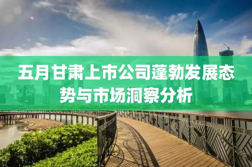 五月甘肃上市公司蓬勃发展态势与市场洞察分析