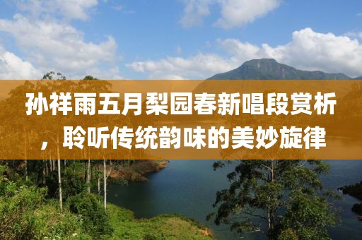 孙祥雨五月梨园春新唱段赏析，聆听传统韵味的美妙旋律