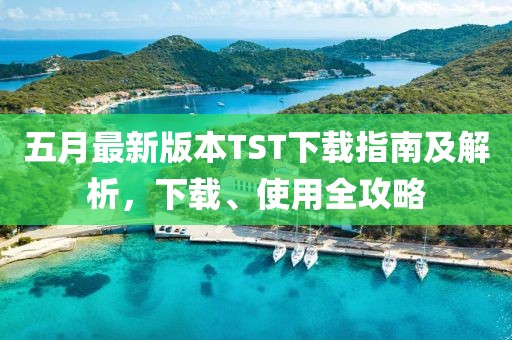 五月最新版本TST下载指南及解析，下载、使用全攻略