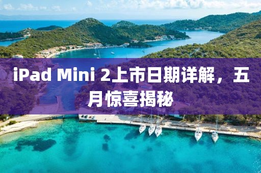 iPad Mini 2上市日期详解，五月惊喜揭秘